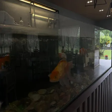 Campingplads Camping Ardis & Herges Shkodër